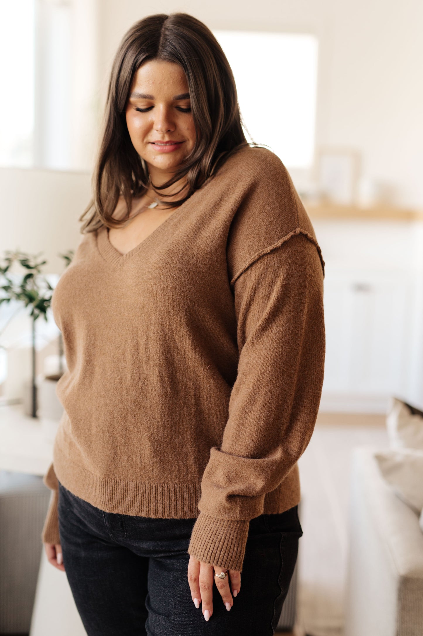 Back to Life V-Neck Sweater in Mocha